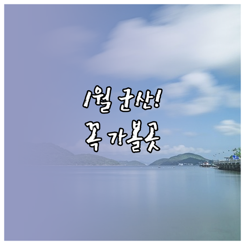 1월 군산 가볼만한곳 추천 명소 5곳..