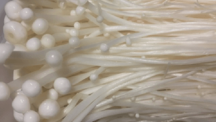 팽이버섯 효능을 살펴보기 위해 팽이버섯을 확대한 사진