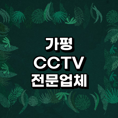 가평군 cctv