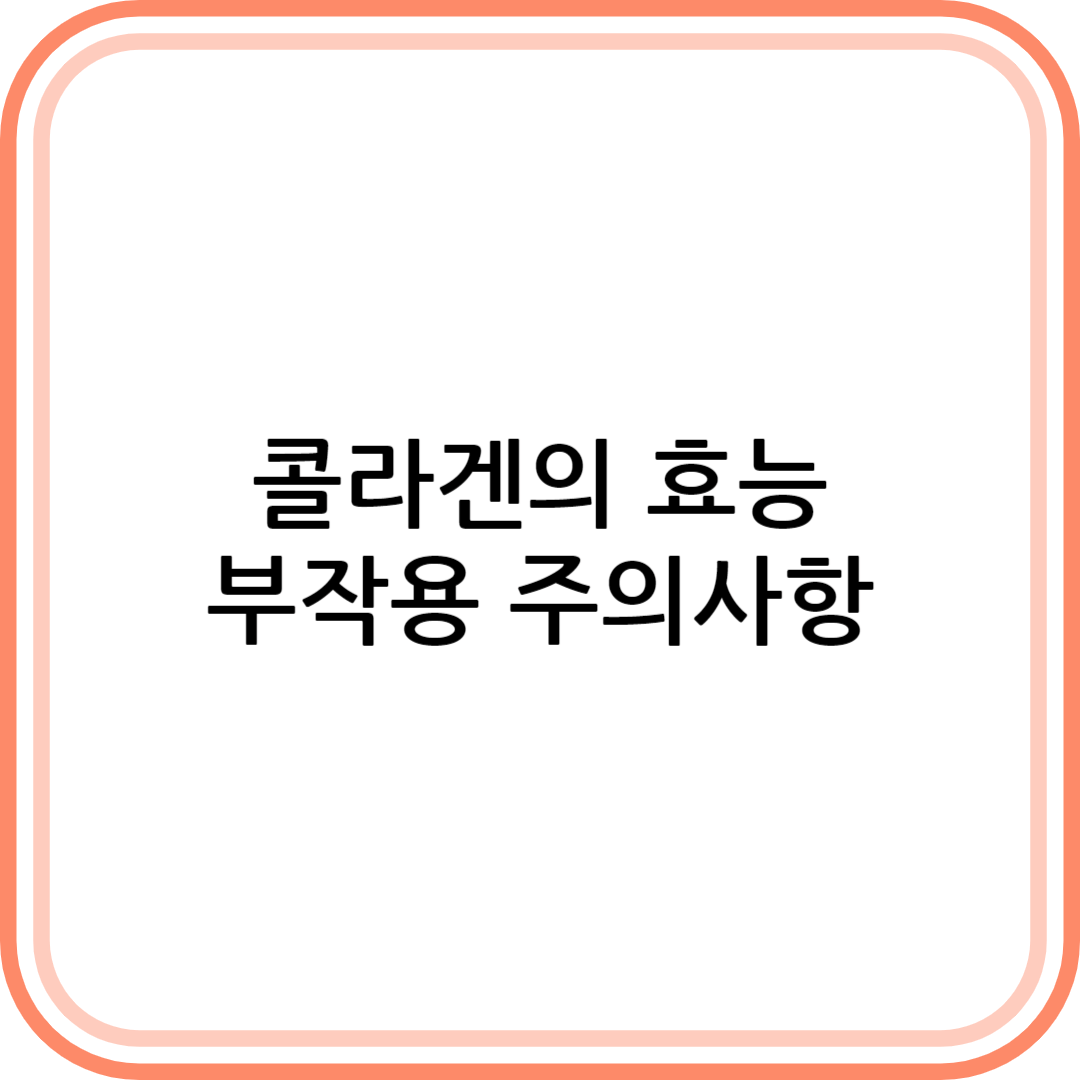 콜라겐의 효능