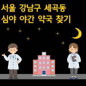 서울 강남구 세곡동 심야 야간 24시 약국 찾기