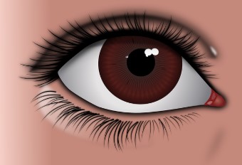 선크림 바를 때 &lsquo;이곳&rsquo; 빼먹으면 피부암 위험 커진다! 놓치기 쉬운 자외선 사각지대