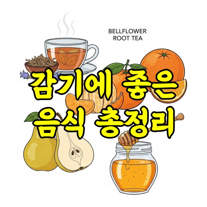 감기에 좋은 음식 총정리