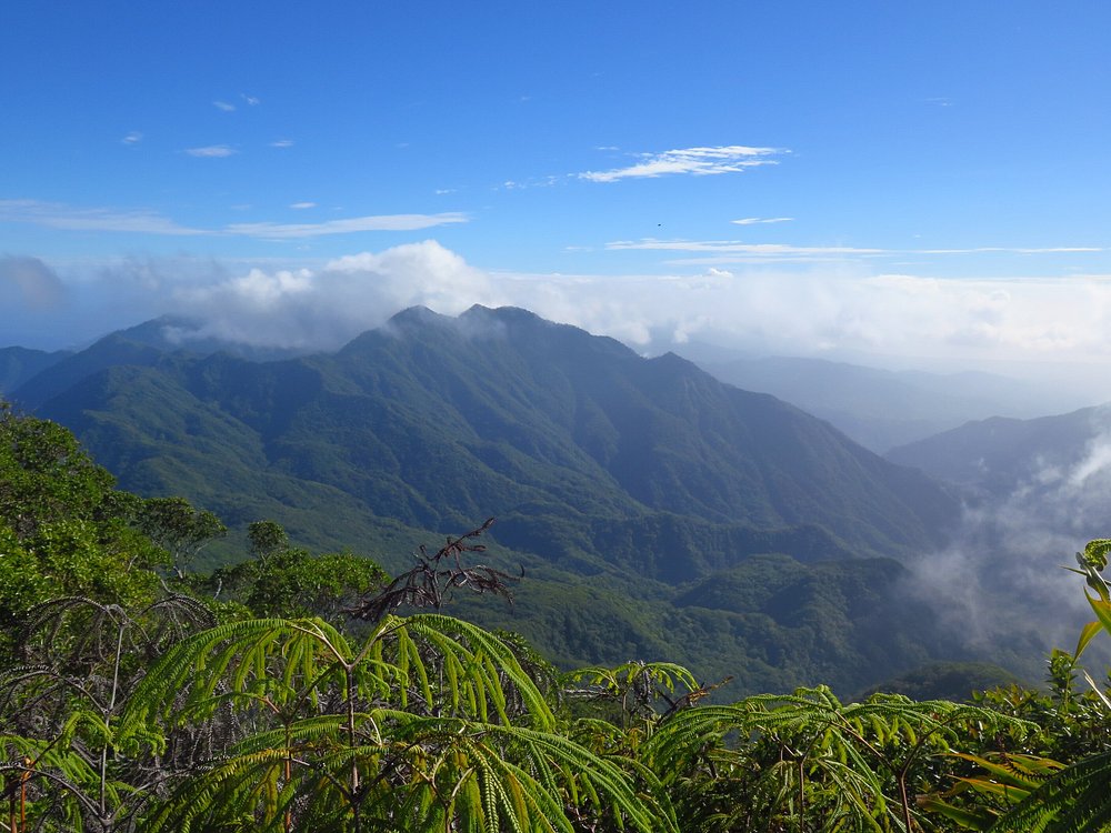 탭웨마사나의 정상에서 본 경치