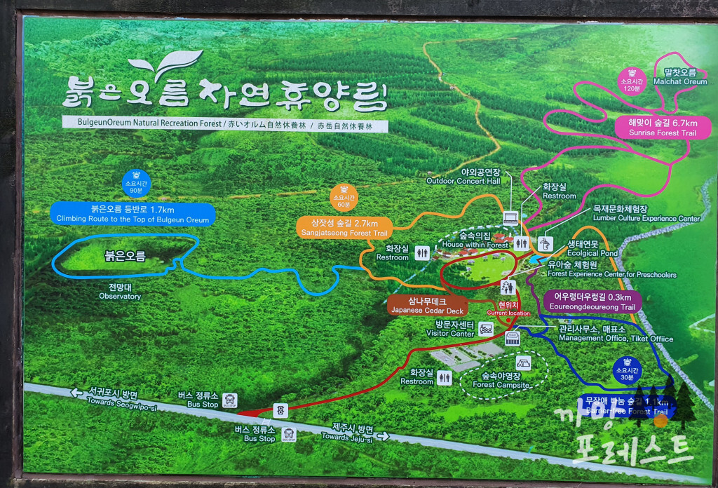 붉은 오름 자연휴양림