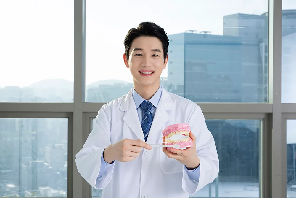 임플란트 가격비교