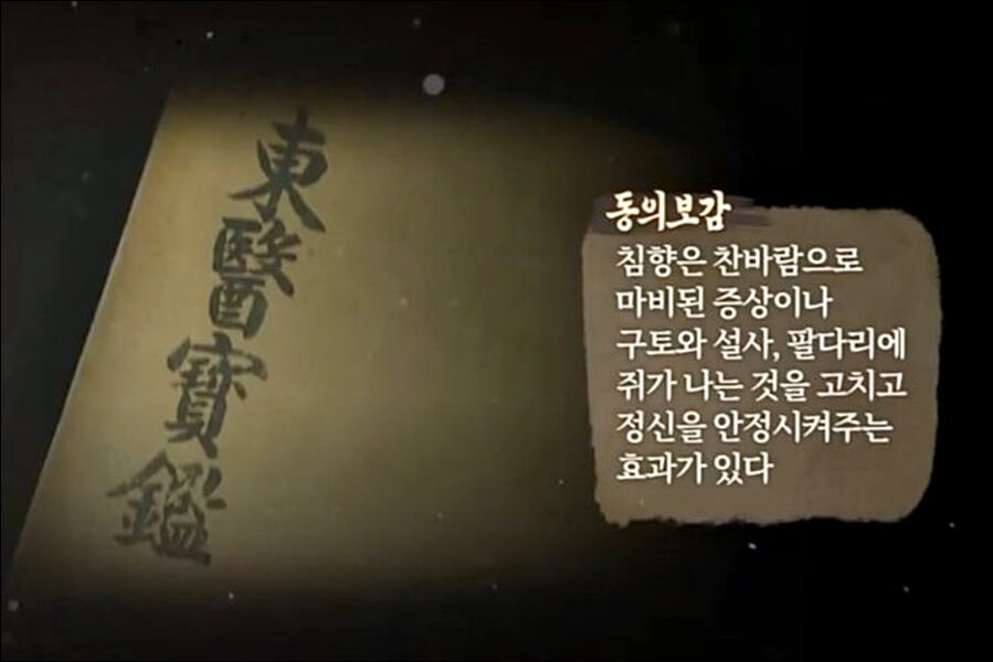 광동 침향환 가격 효능 총정리