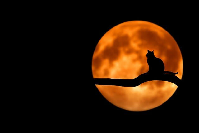 달 꿈 해몽&amp;#44; 달 꿈 총정리