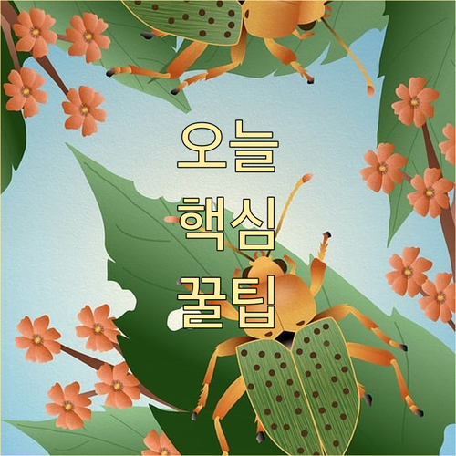 반려동물 약값 아끼는 법 동물병원 처