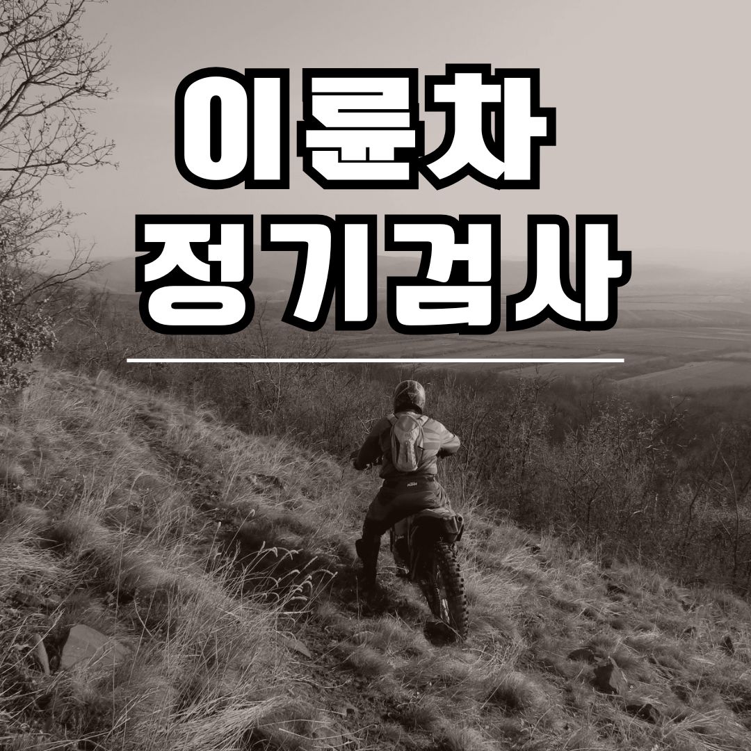 2025년 이륜차 정기검사 제도 완벽 이해
