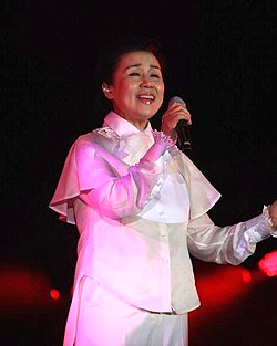 심수봉 나이 프로필, 남편·자녀·고향·콘서트 총정리