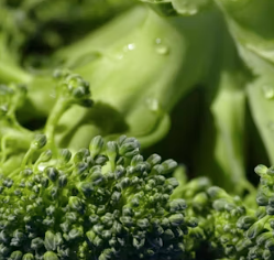 심근경색에 좋은 음식 영양제 식단