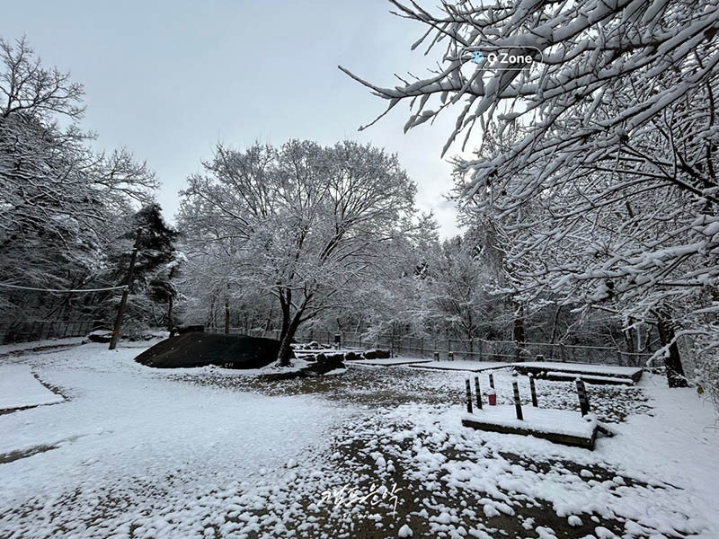 포천 캠프운악 캠핑장 소개