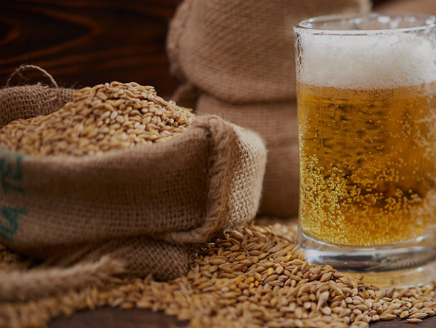맥주효모