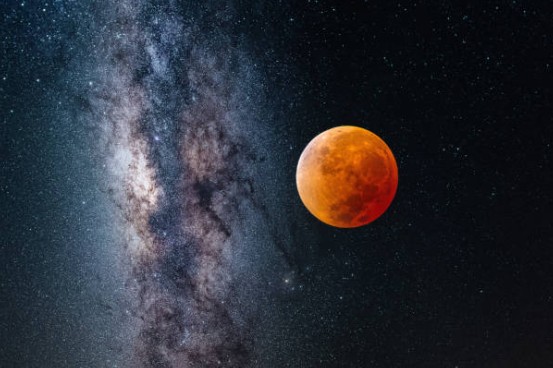 2026년 무료운세