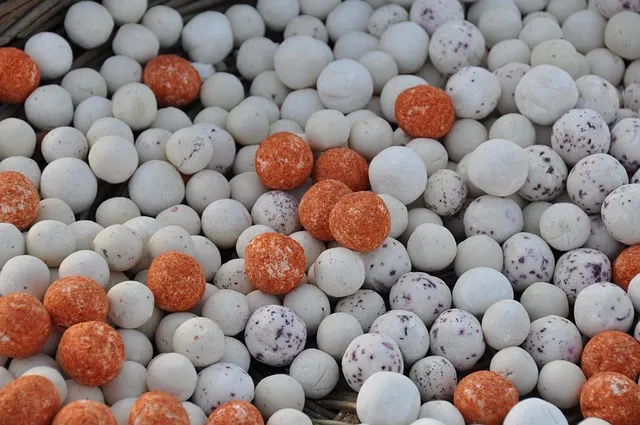 우리나라 특산식물 댕강나무와 댕강나무 꽃말 꽃댕강나무_2