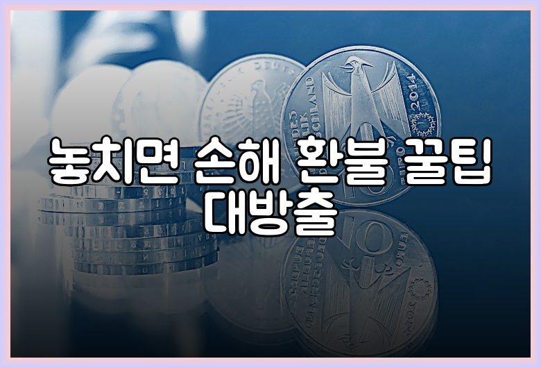 놓치면 손해 환불 꿀팁 대방출