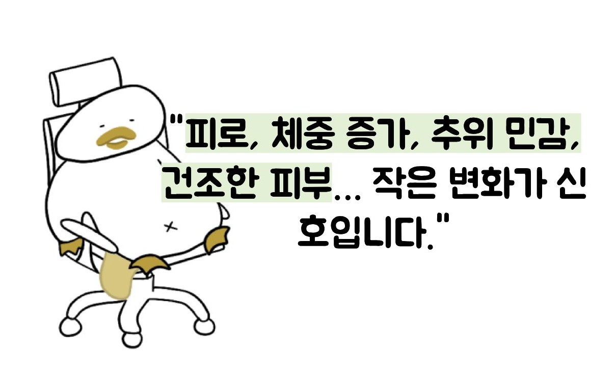 갑상선 기능 저하증 증상