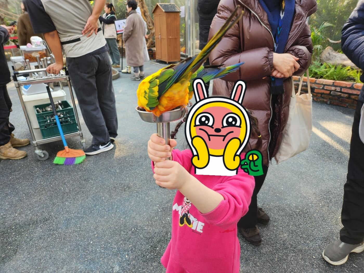 가평 베고니아 정원