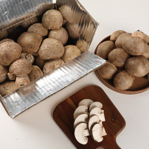 부산 표고버섯 주문 방법