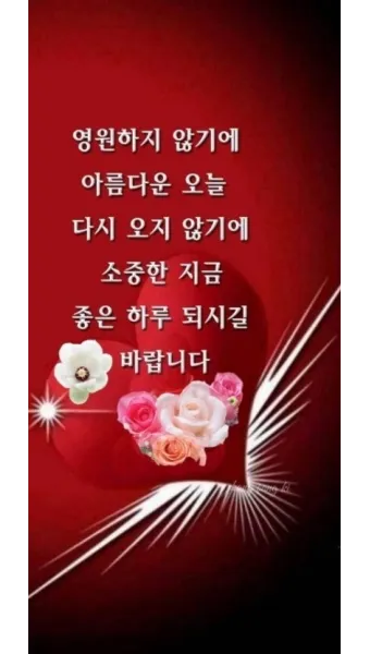 건강 인사말 모음 예시 멘트_12