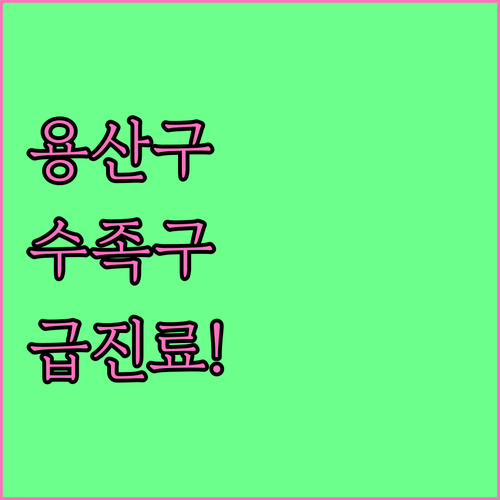 서울 용산구 수족구 진료 가능 병원 ..