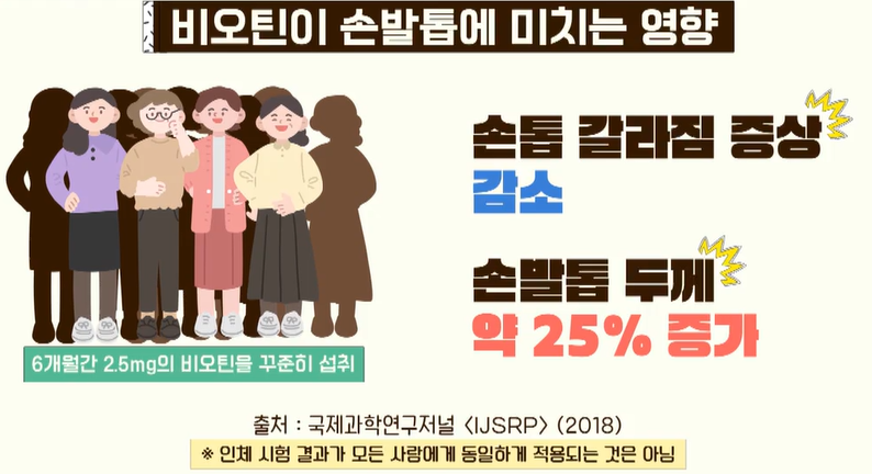 비오틴 효능