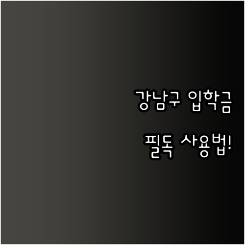 2026학년도 강남구 입학준비금 제로..