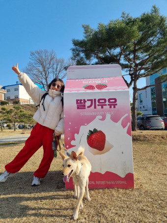 논산딸기축제 포토존에서 찍는 관광객들