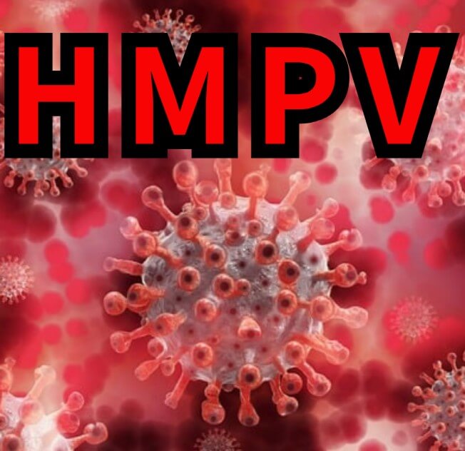 HMPV-글자와-바이러스-사진입니다.