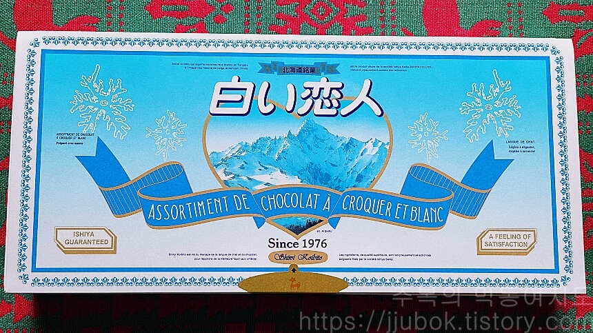 시로이-코이비토-화이트-초코-24입-박스