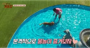 집-나가면-개호강-장소-팔레드-차밍-애견-동반-리조트