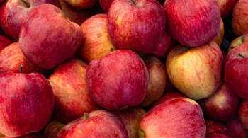 갑상선에 좋은 음식 27