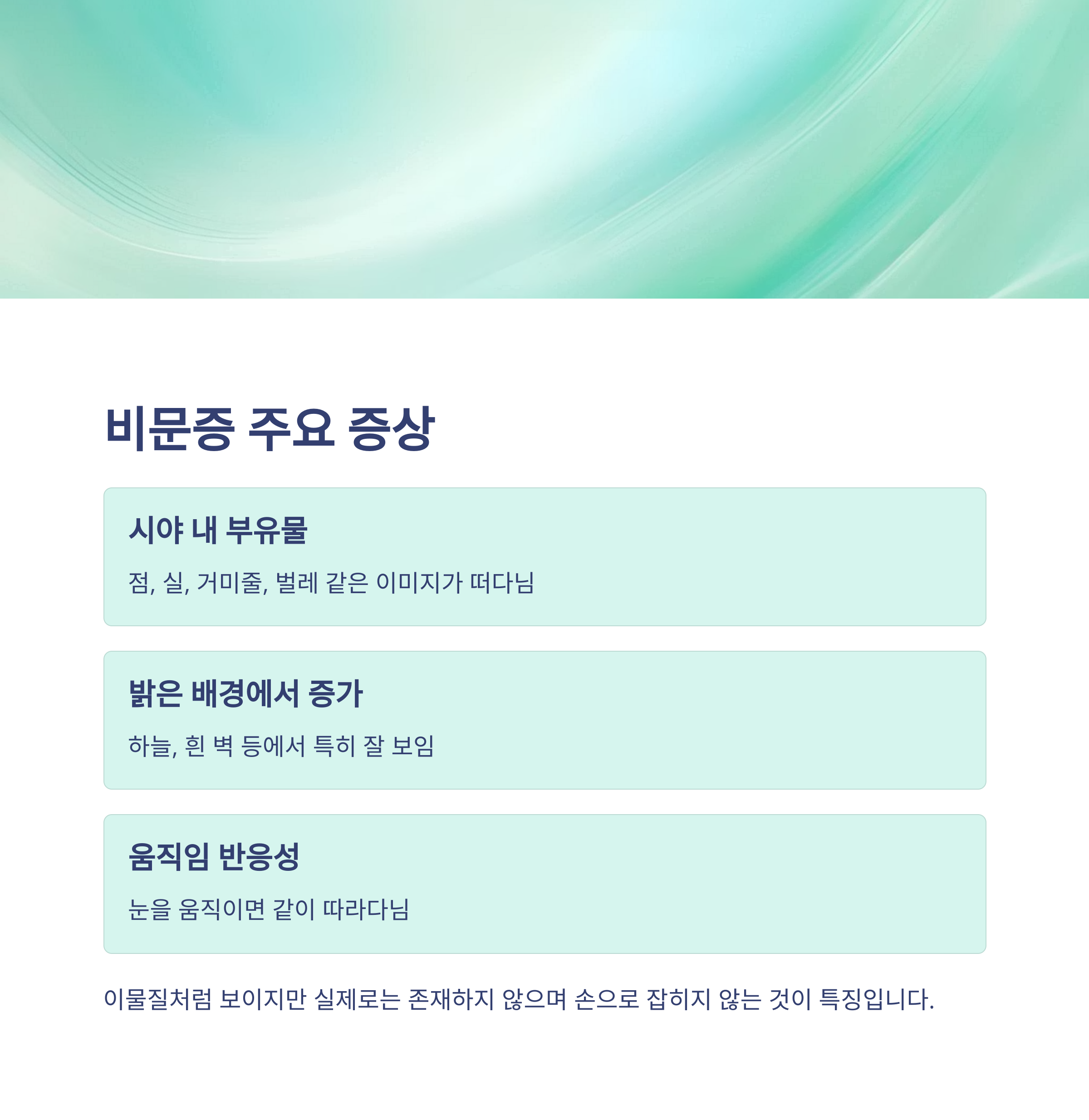 비문증 주요 증상