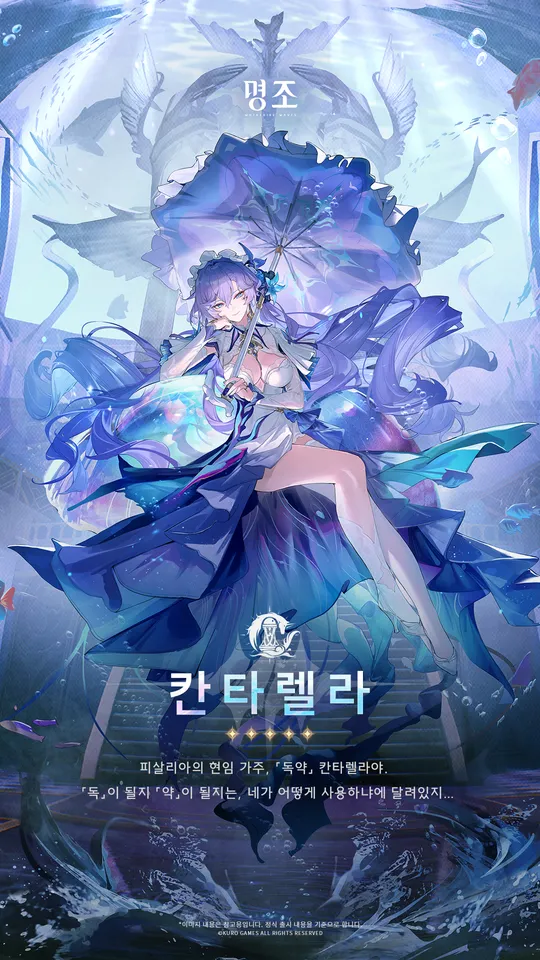 칸타렐라 프로필