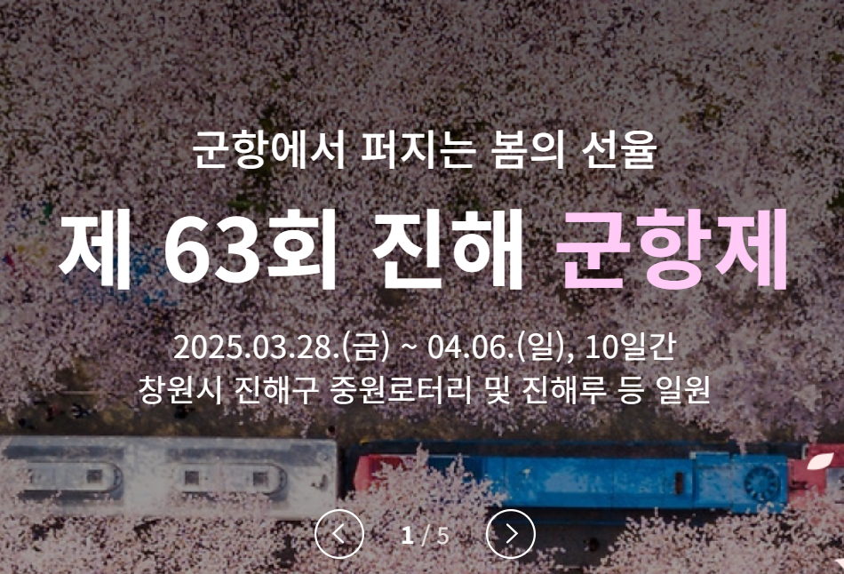 2025 전국 꽃 축제 일정 – 매화, 산수유, 벚꽃, 유채꽃, 철쭉, 장미까지!