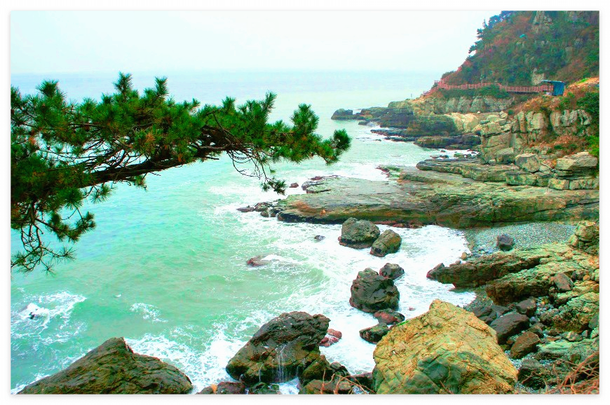 부산 여행, 원데이 시티투어: 해동용궁사, 태종대, 송도해수욕장, 감천문화마을