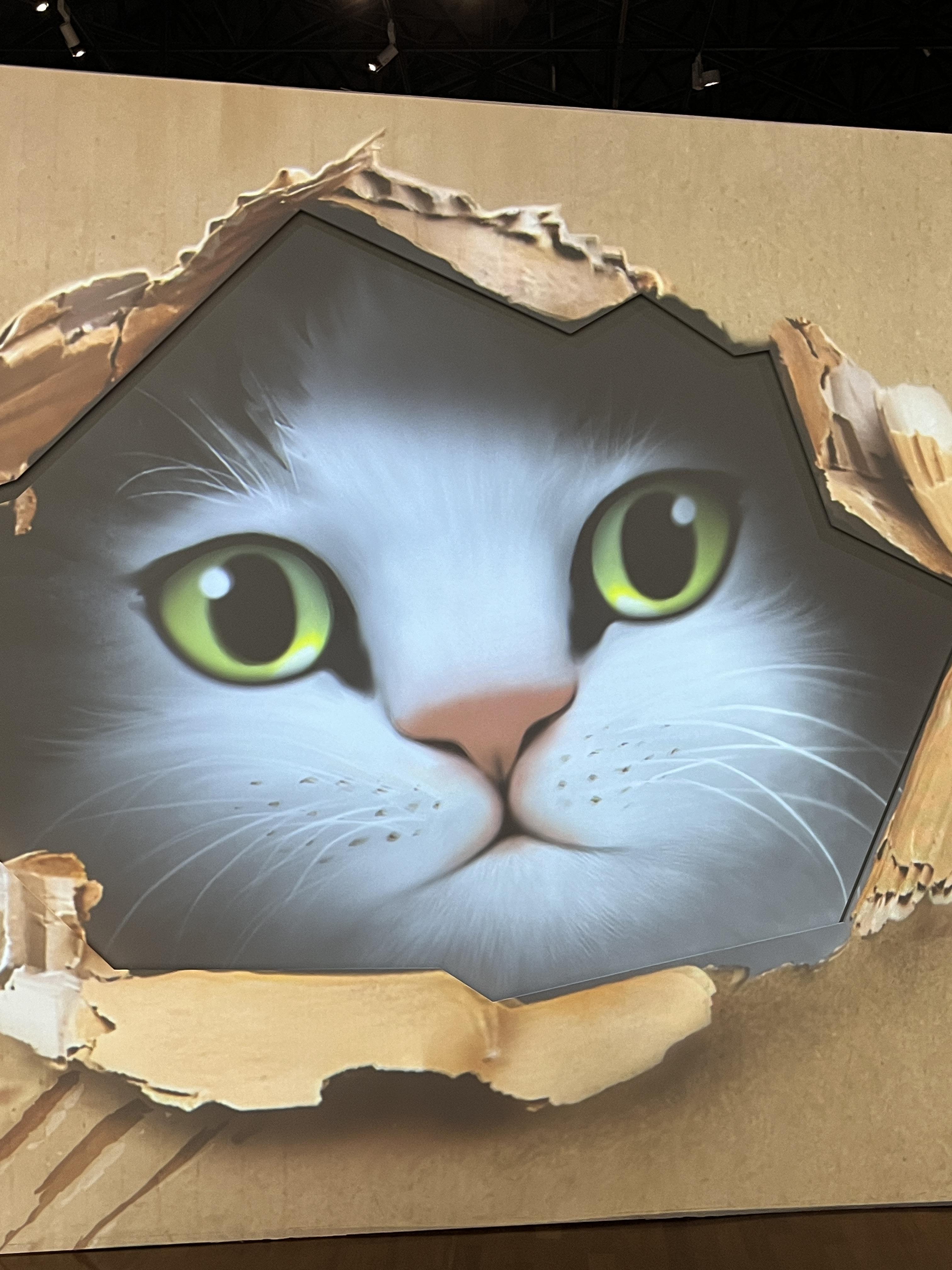 요물 우리를 홀린 고양이