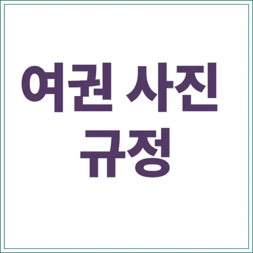 여권 사진 규정