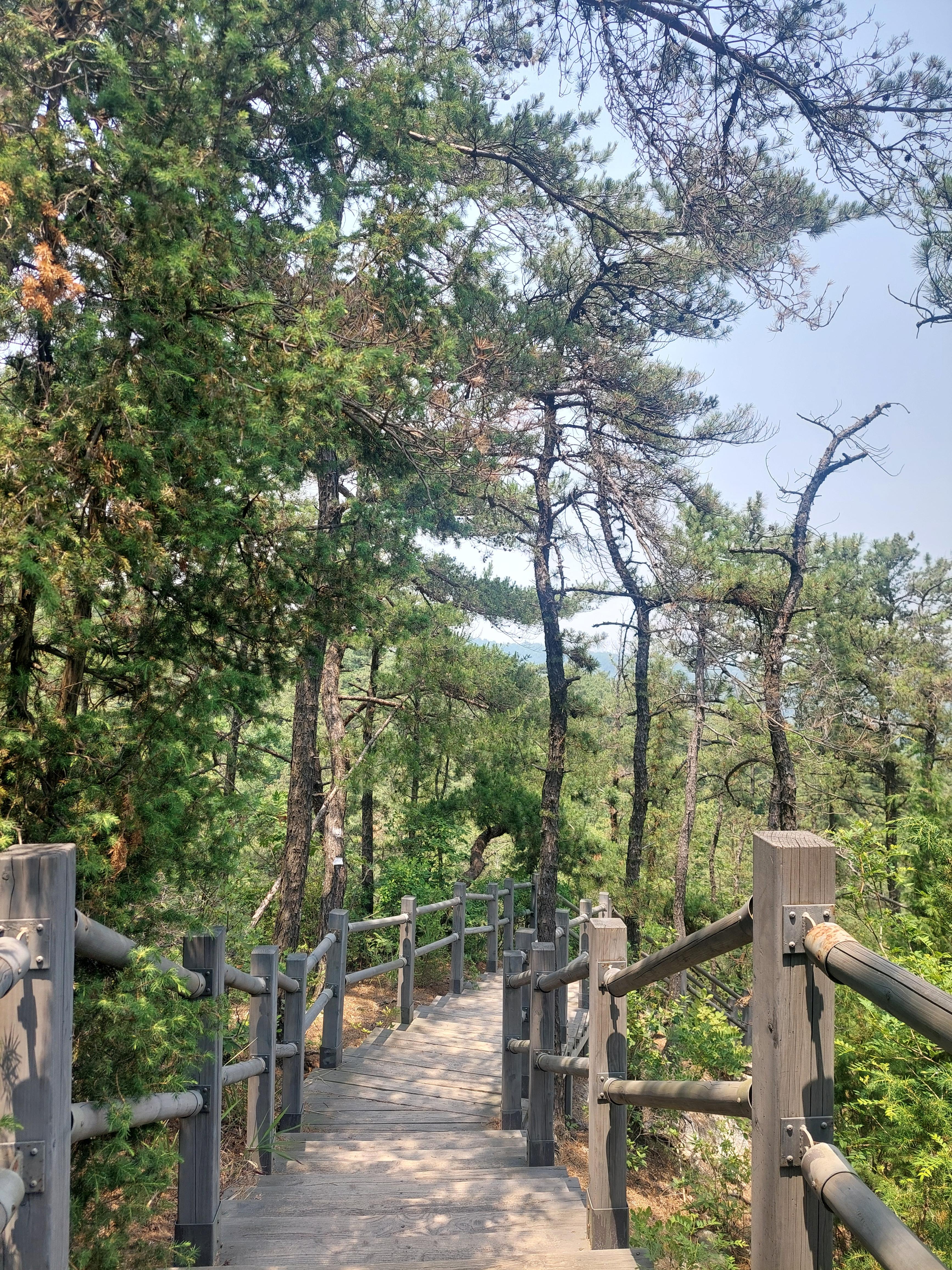호암산
