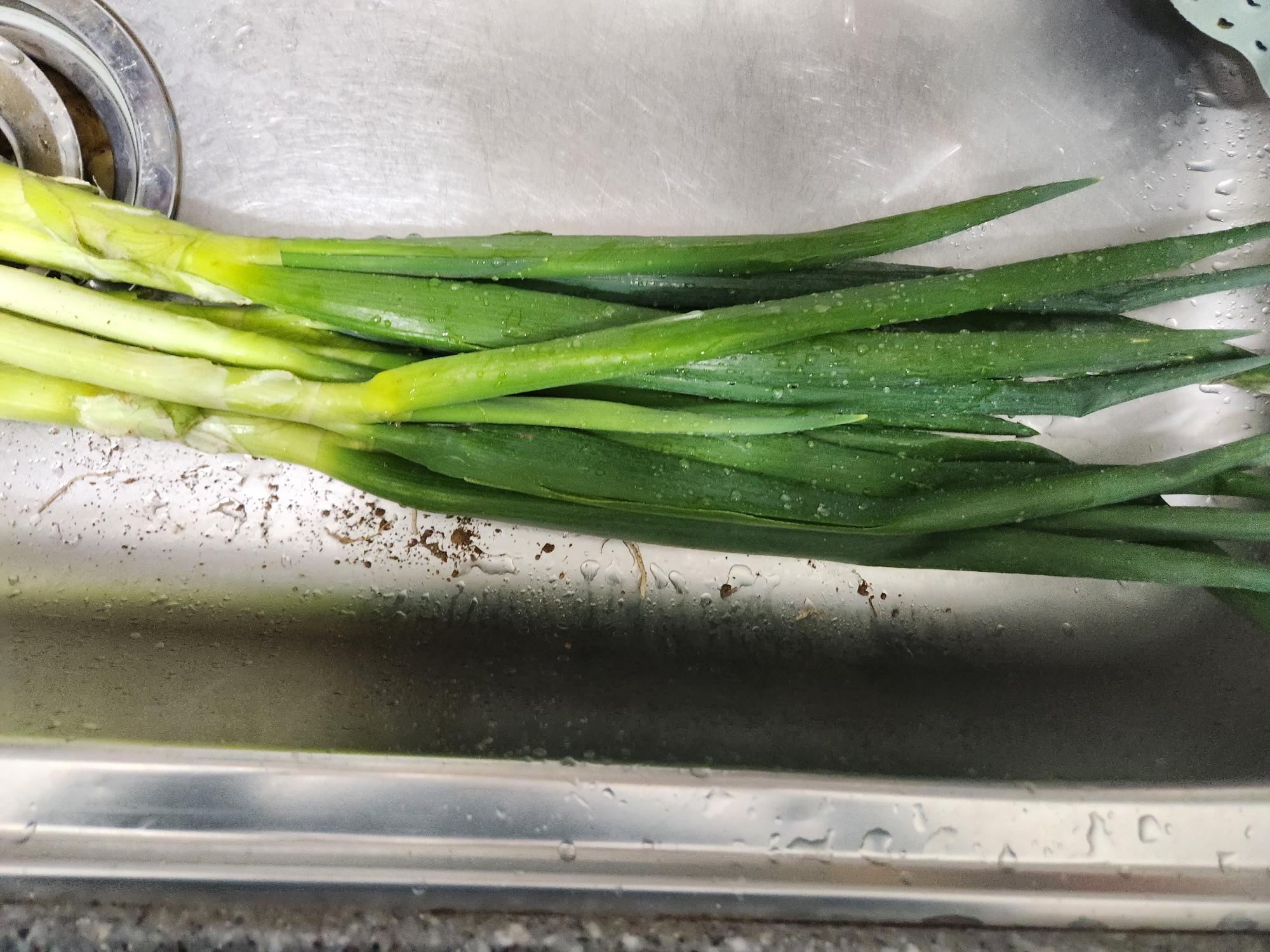 대파 보관법&amp;#44; 대파 효능에 대해 확실히 알려드릴게요. 냉동보관법