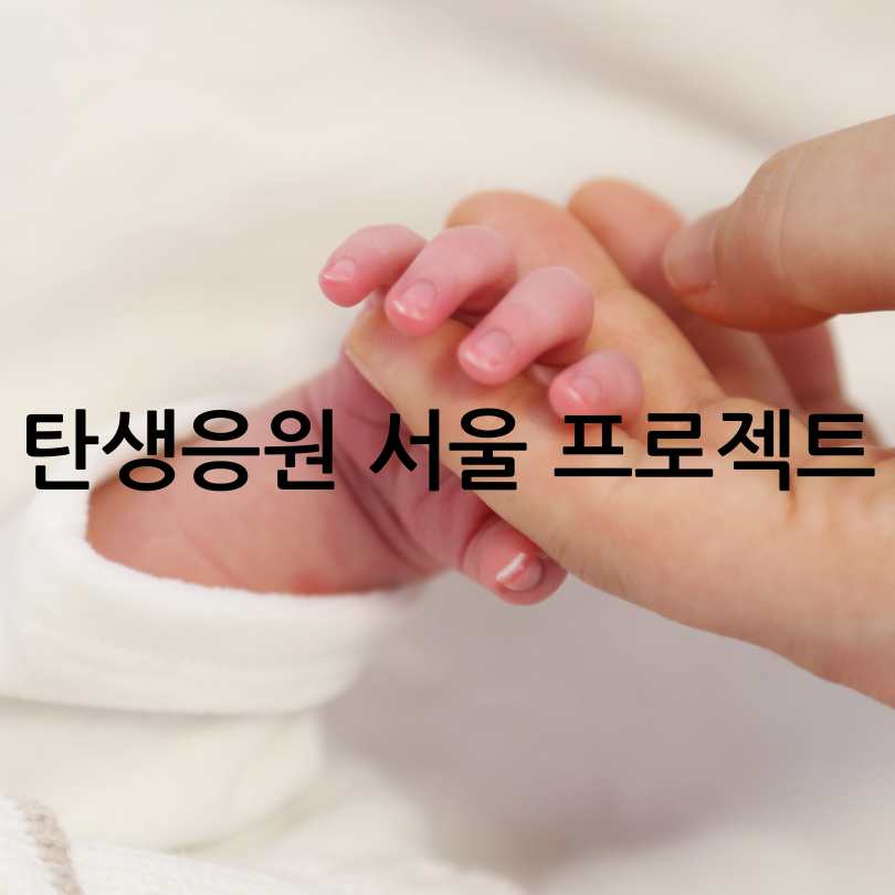 서울시 임신&amp;#44;출산 소상공인지원정책