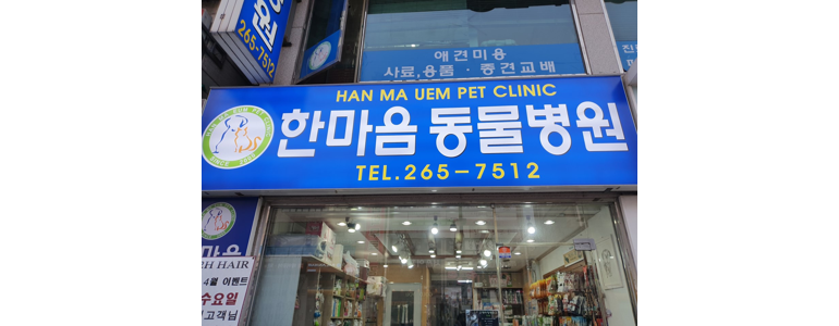 용인 수지구 동물병원