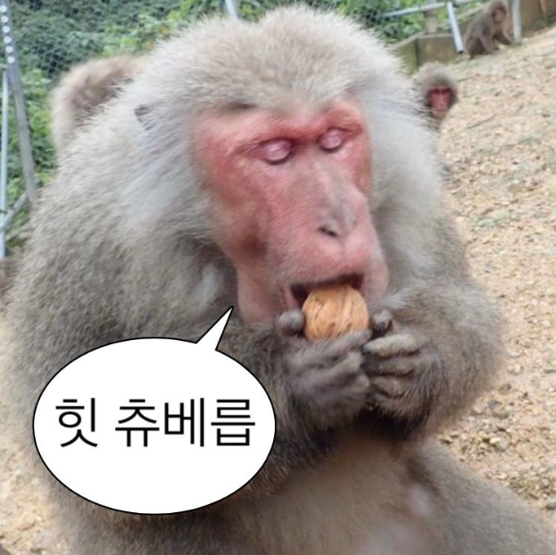 츄베릅