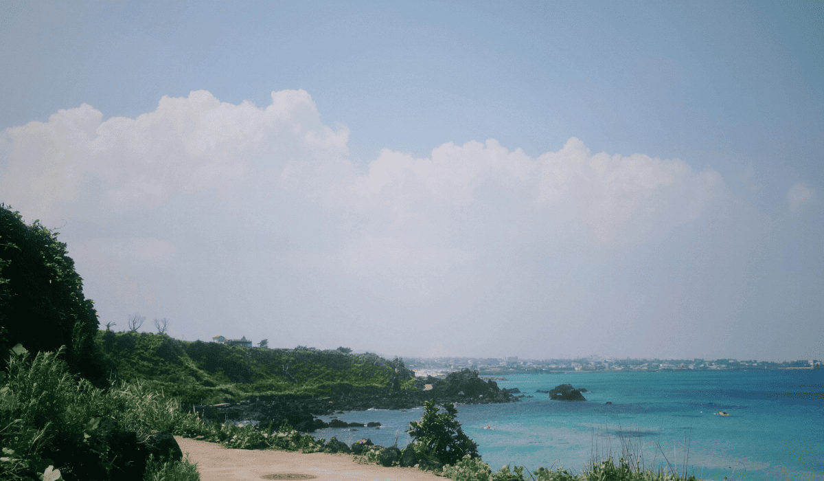 제주렌트카비교사이트_14