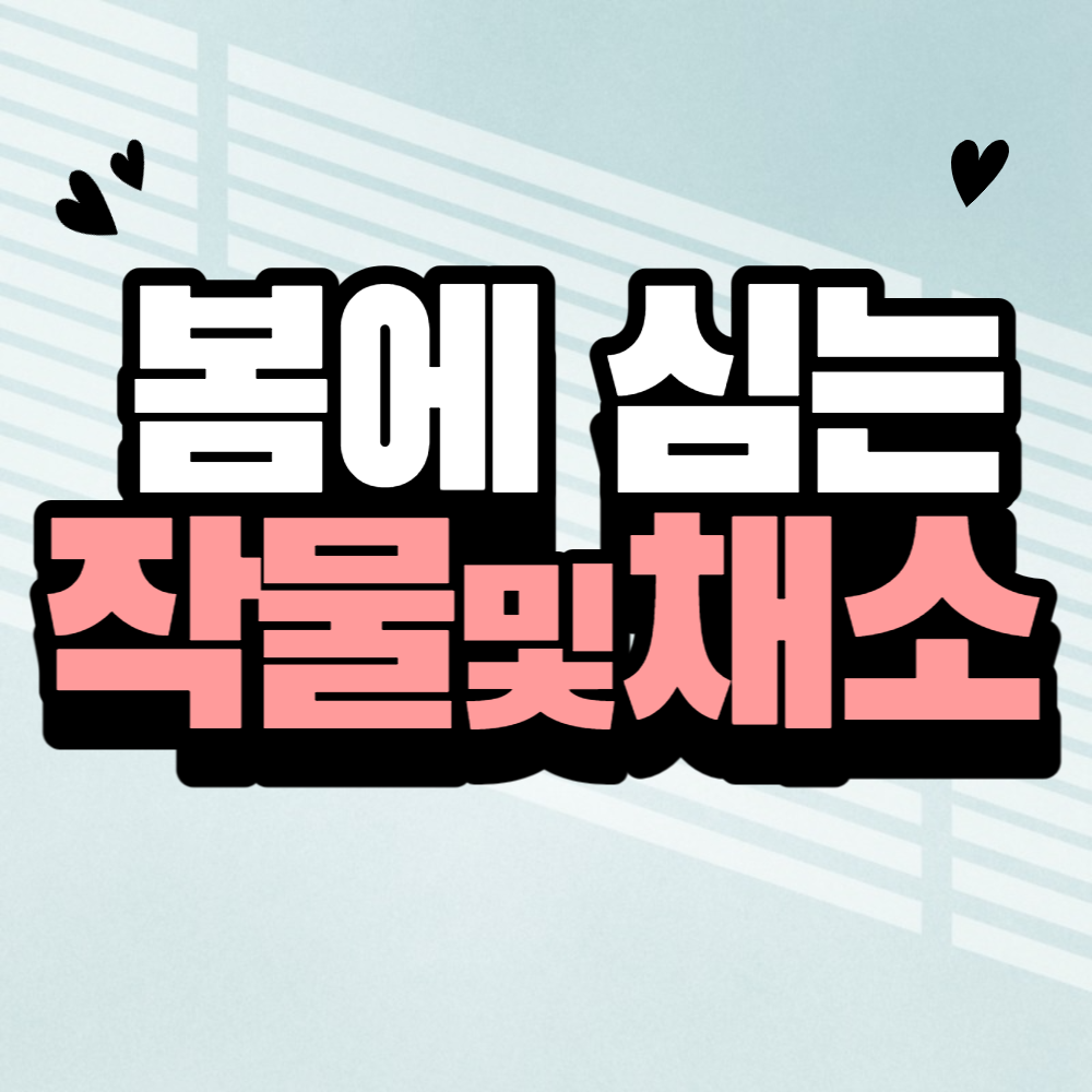 봄에 심는 작물 및 채소