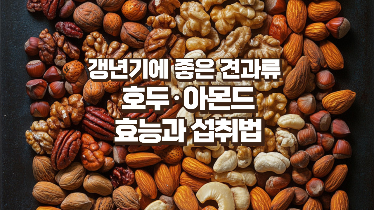 갱년기에 좋은 견과류 호두와 아몬드 효능과 섭취법