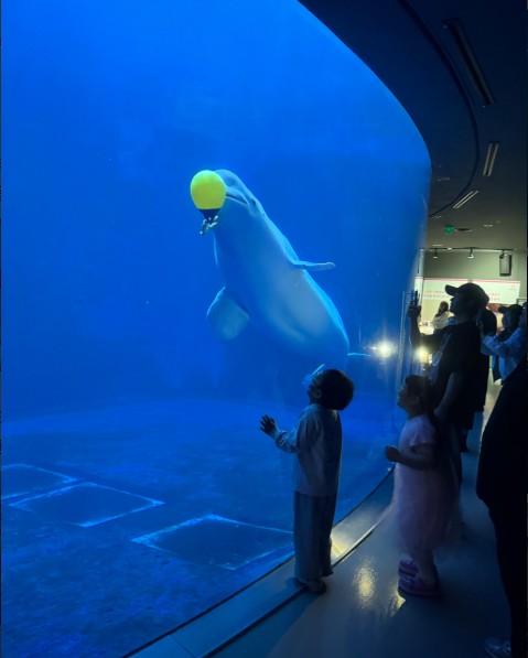 여수 아쿠아플라넷 이미지