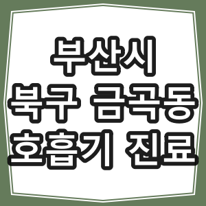 부산시 북구 금곡동 호흡기 내과 진료 동네 병원