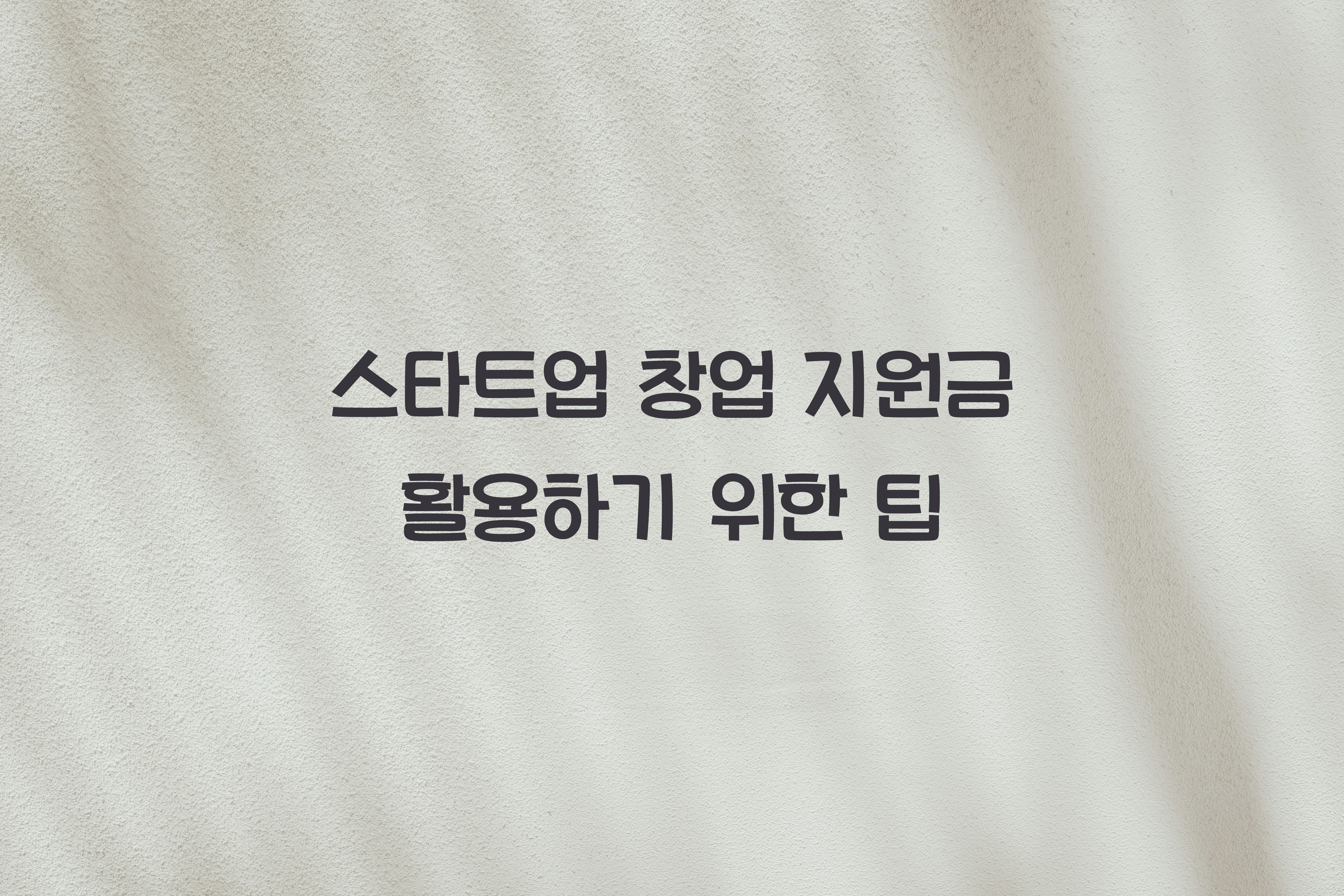 스타트업 창업 지원금